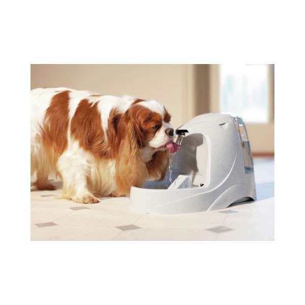 Drinkwell Platinum Trinkbrunnen 5L – Bild 3