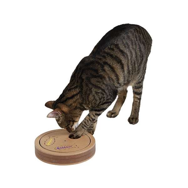 Kerbl Denk- & Lernspiel Exciting – Bild 3