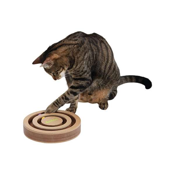 Kerbl Denk- & Lernspiel Exciting – Bild 4