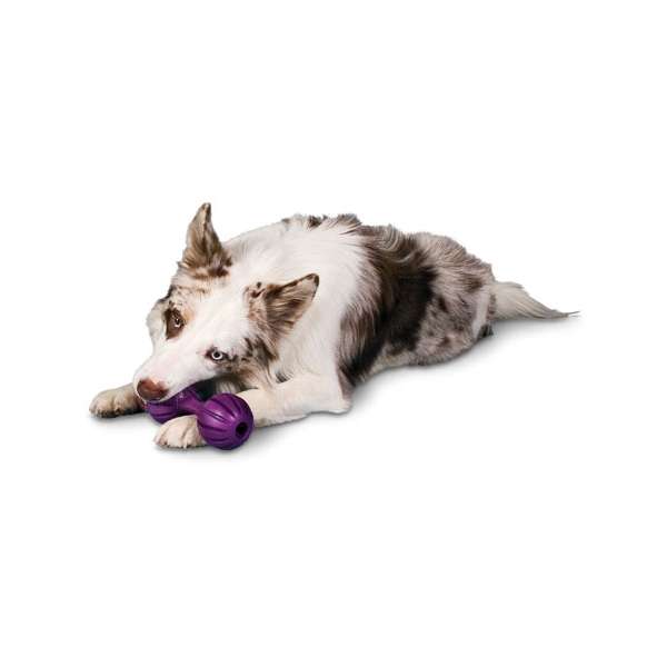 PREMIER Waggle - S / 14cm – Bild 3