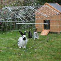 Kerbl Freilaufgehege – Bild 2