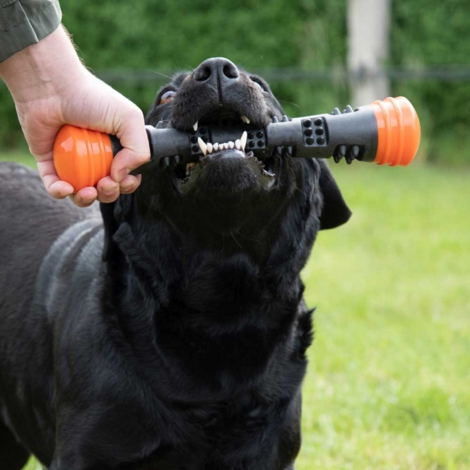 Alternative view of Dog Comets Meteor Wurfstock - Orange / S