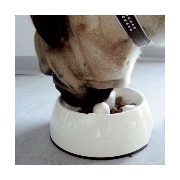 DOGIT Go-Slow Anti-Schling-Napf Weiss 600 ml – Bild 4