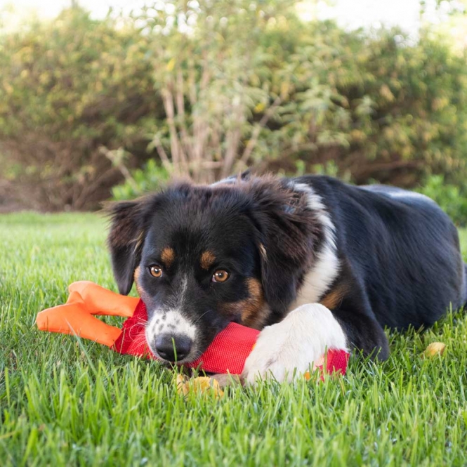Alternative view of Hozies Jeffrey Jungle aus Feuerwehrschlauch - Small