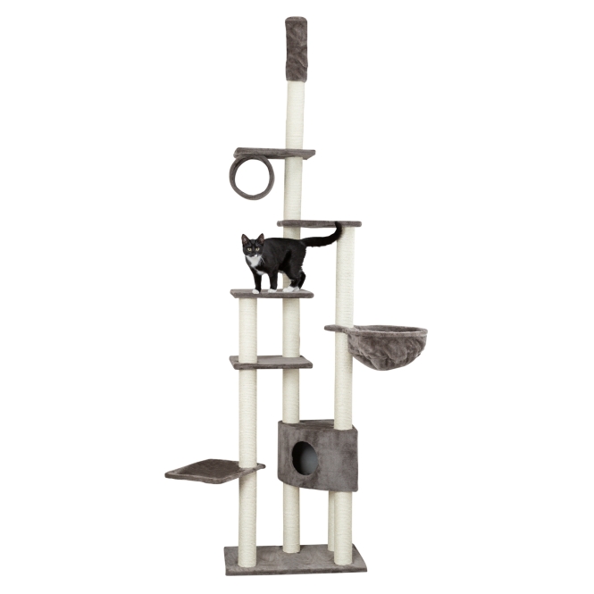 Alternative view of Trixie Kratzbaum MADRID - Grau