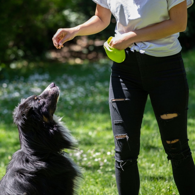 PROCYON Snacktasche Gürteltasche Easy – Bild 4