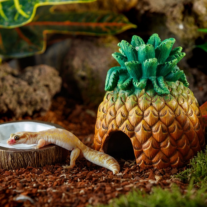 Exo Terra Tiki Ananas-Versteck – Bild 3