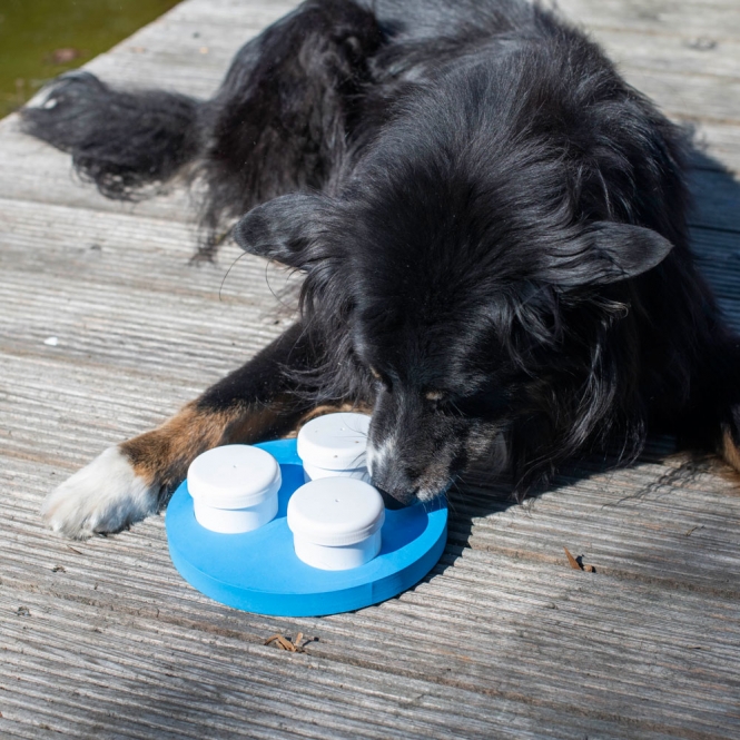 PROCYON Schnüffel-Ring – Bild 3