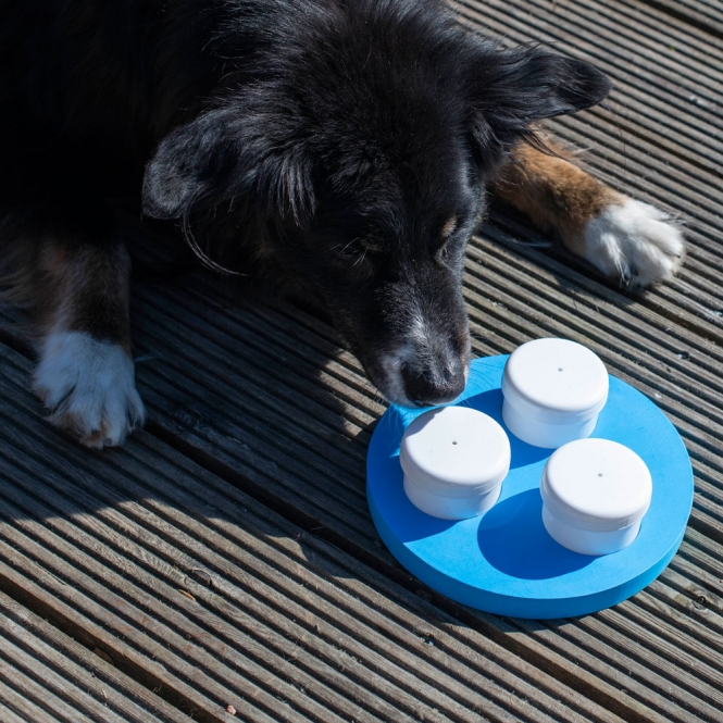 PROCYON Schnüffel-Ring – Bild 4