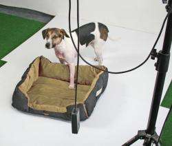 Pet-Star Bett/Kissen MONTANA, 72 cm - Beige – Bild 4