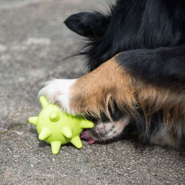 PROCYON TPR Snackball – Bild 4