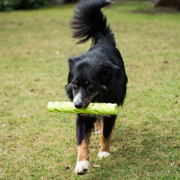 Alternative view of PROCYON TPR Dummy