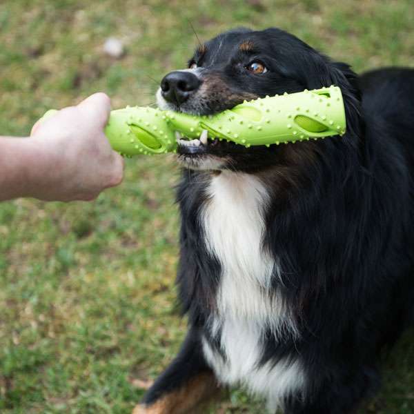 PROCYON TPR Dummy – Bild 3