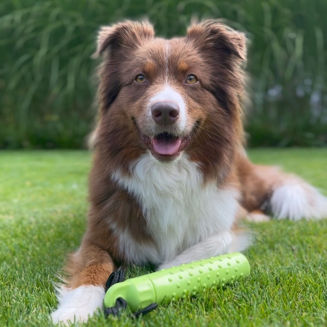 PROCYON Magic Treat Dummy – Bild 6