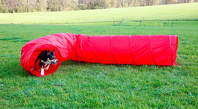 Kerbl Dog Agility Tunnel - 5 m – Bild 2