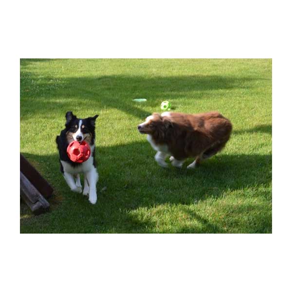 PETSPORT Turbo Kick Soccer Ball - 15 cm - Rot – Bild 3