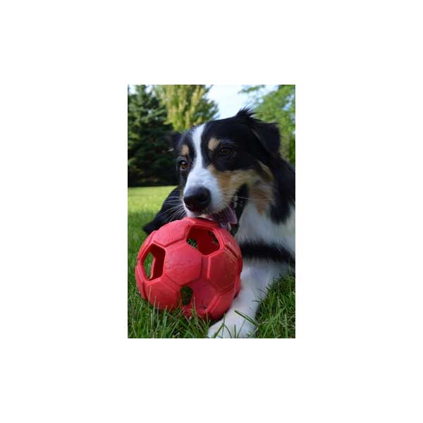 PETSPORT Turbo Kick Soccer Ball - 6,25 cm - Grün – Bild 4