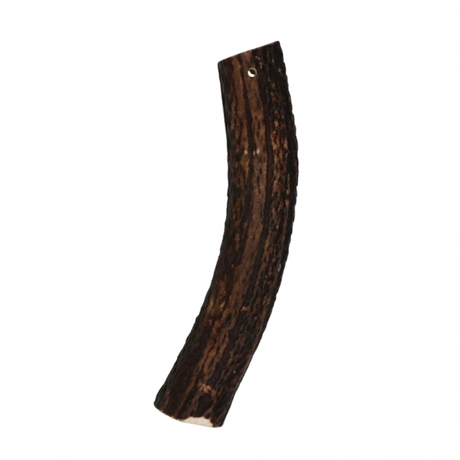 Viking Antler Easy Rothirschgeweih - XL – Bild 2