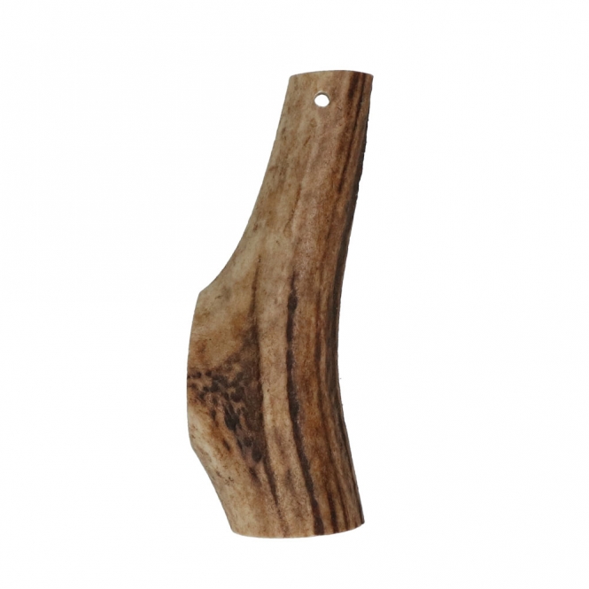Viking Antler Easy Rothirschgeweih - XL – Bild 4