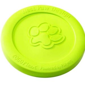 West Paw Zisc - 22 cm - Lime