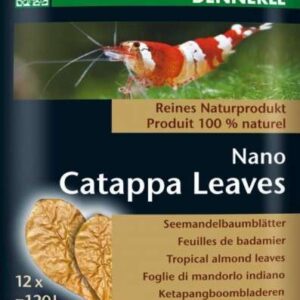Dennerle Nano Catappa Leaves